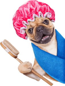 Dog Grooming in Katy TX » Patsy's Pet Market