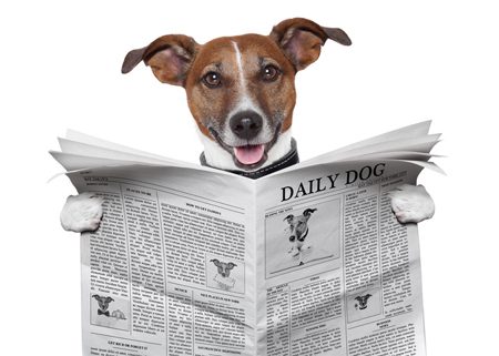 Pet photos, pet gifts and pet food supplies katy, tx